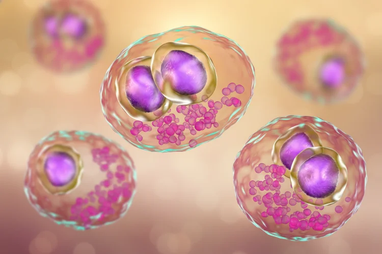 3D illustration of cytomegalovirus infected cells showing enlarged nuclei and viral particles.
