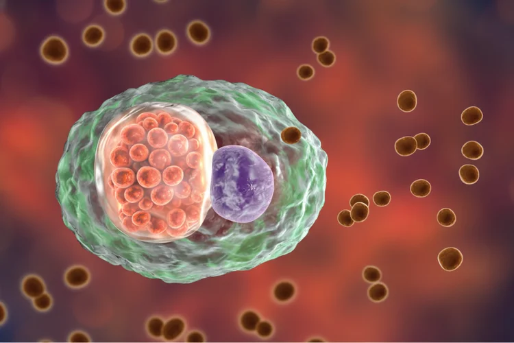 3D illustration showing chlamydia trachomatis bacteria that cause lymphogranuloma venereum (LGV).
