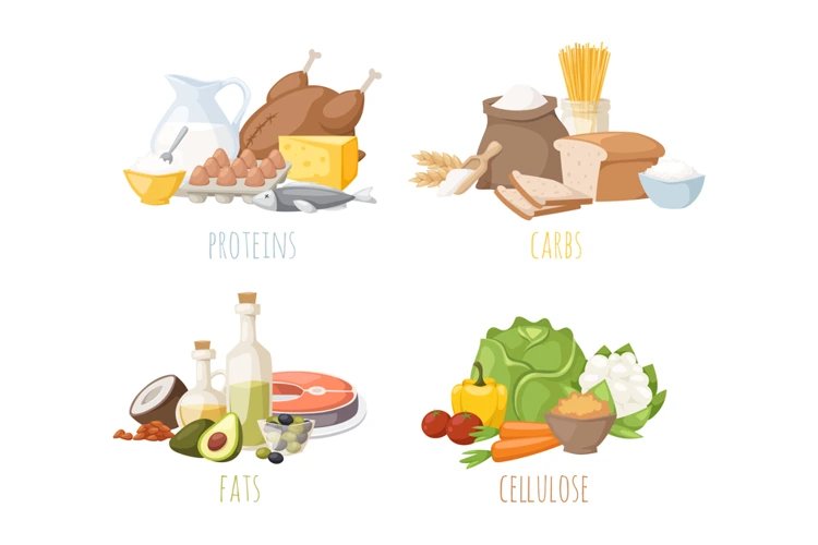 Variety of food in the form of proteins, carbs, fats, and cellulose.