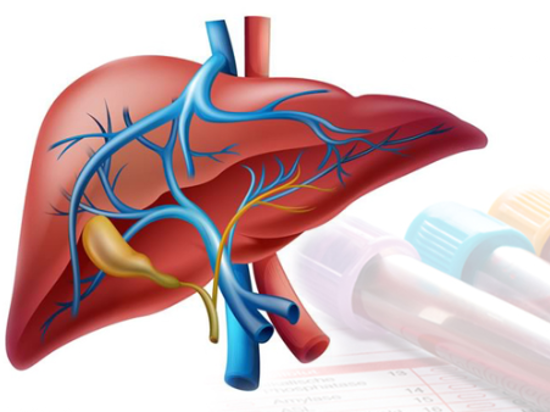 Liver Function Test Image