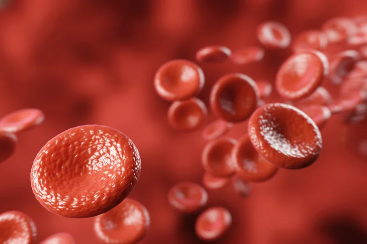 Red blood cells moving through bloodstream illustrating how altitude affects oxygen transport.